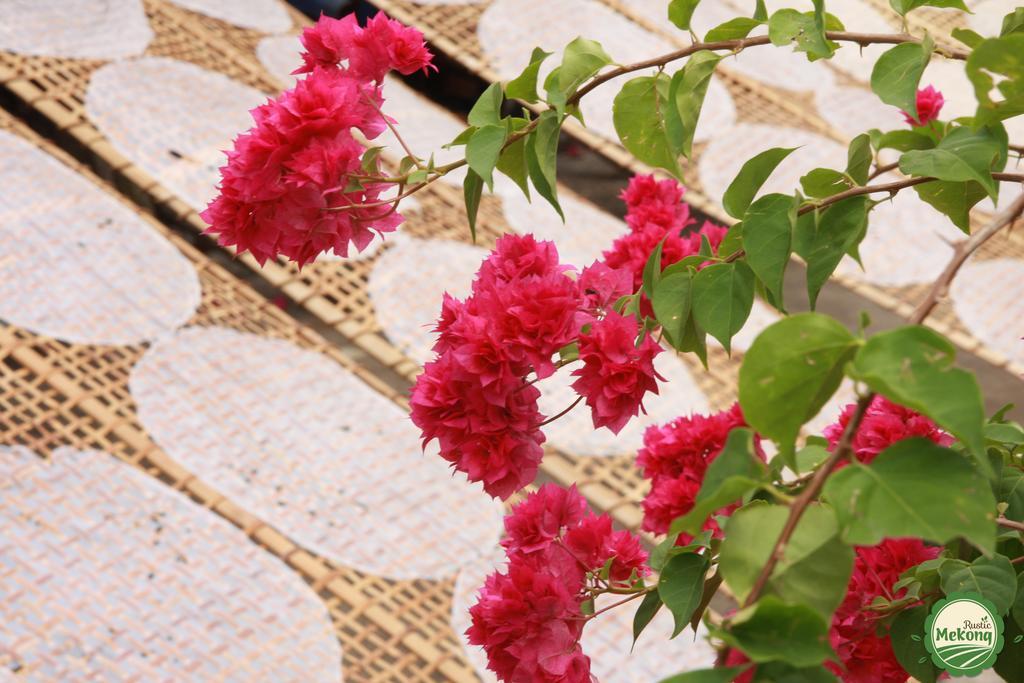 דירות Mekong Rustic קאי בה מראה חיצוני תמונה